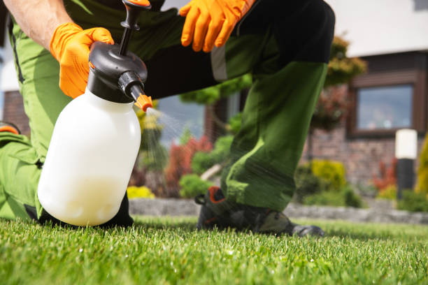 Best Bird Control  in Malvern, AR
