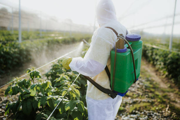 Best Best Pest Control Companies  in Malvern, AR